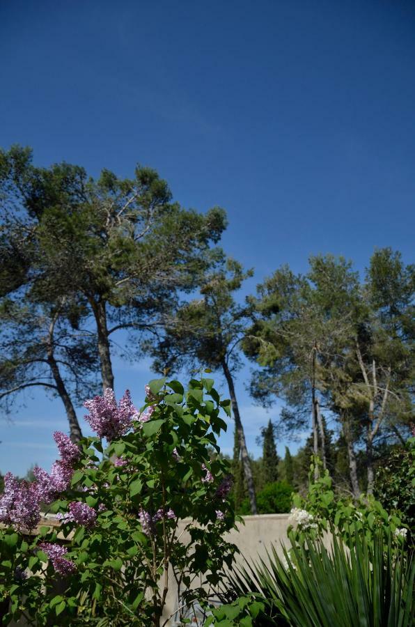 Mas Du Puech Clapas Villa Assas ภายนอก รูปภาพ